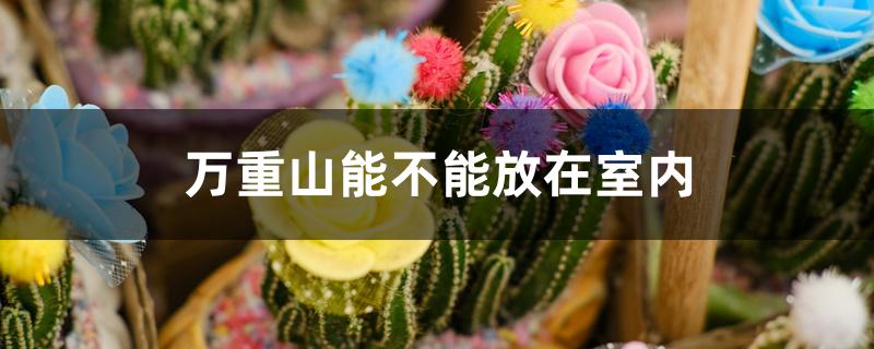 万重山能不能放在室内 万重山能不能放在室内