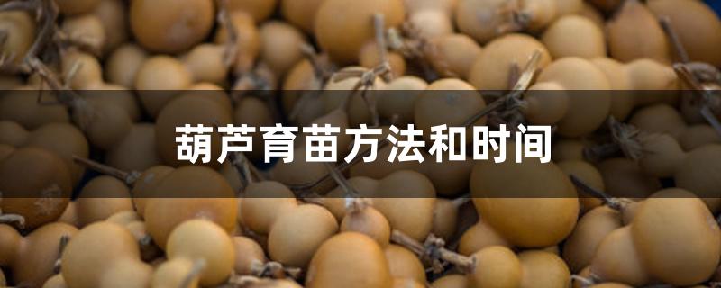 葫芦育苗方法和时间