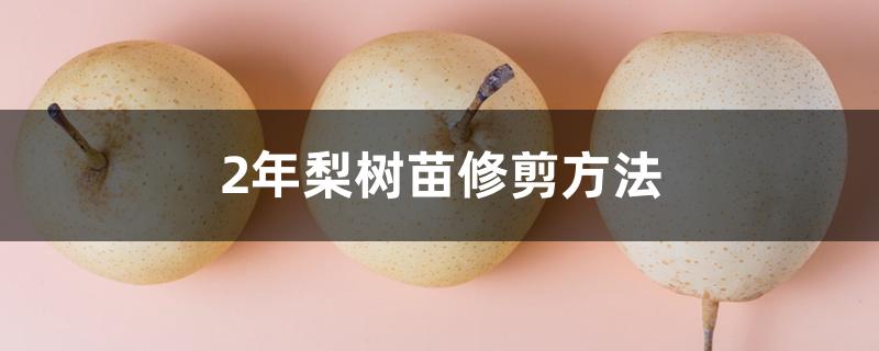 2年梨树苗修剪方法