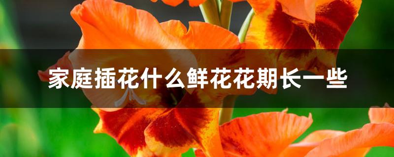 家庭插花什么鲜花花期长一些 家庭插花什么鲜花花期长一些