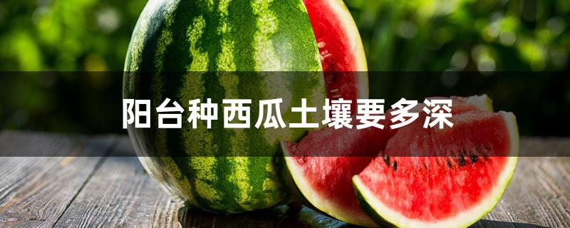 阳台种西瓜土壤要多深 阳台种西瓜土壤要多深