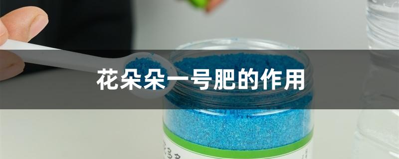 花多多一号肥的作用 花多多一号肥的作用