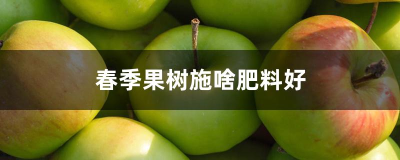 春季果树施啥肥料好 春季果树施啥肥料好