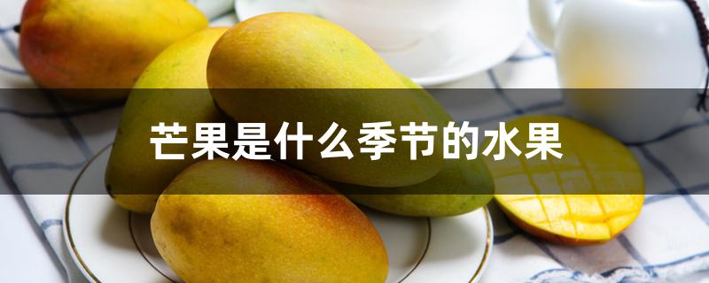 芒果是什么季节的水果 芒果是什么季节的水果