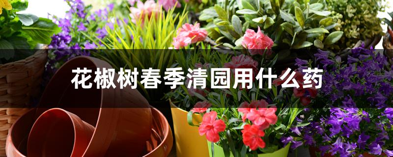 花椒树春季清园用什么药 花椒树春季清园用什么药