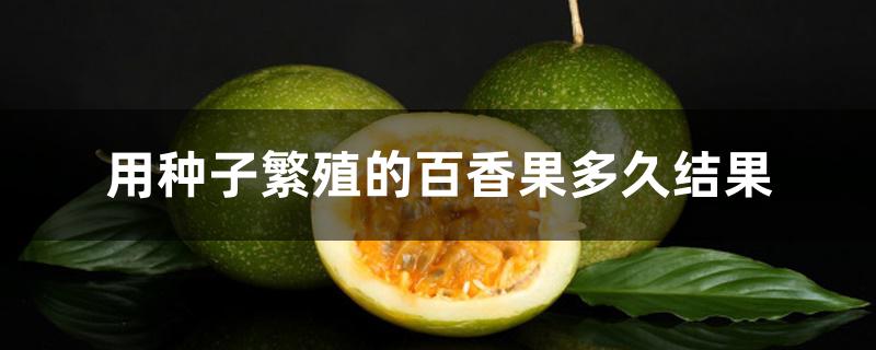 用种子繁殖的百香果多久结果 用种子繁殖的百香果多久结果
