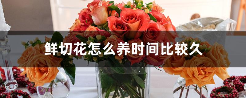 鲜切花怎么养时间比较久 鲜切花怎么养时间比较久