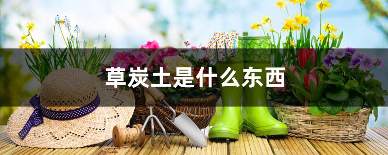 草炭土是什么东西 草炭土是什么东西