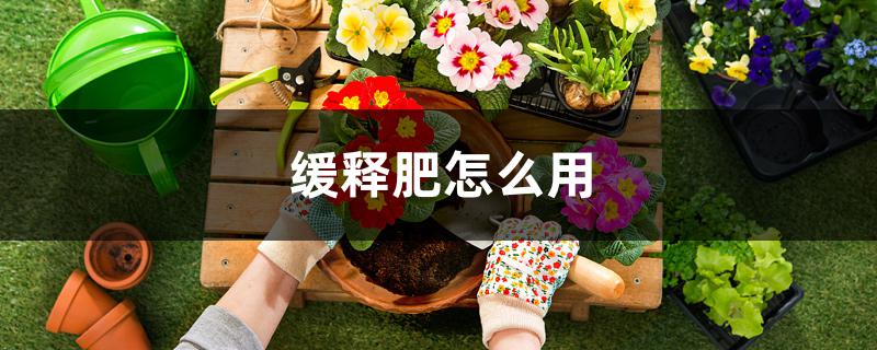 缓释肥怎么用 缓释肥怎么用
