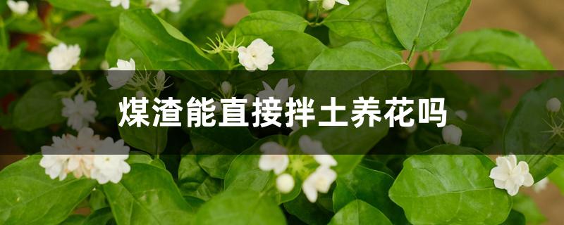 煤渣能直接拌土养花吗 煤渣能直接拌土养花吗