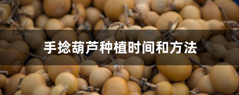 手捻葫芦种植时间和方法 手捻葫芦种植时间和方法