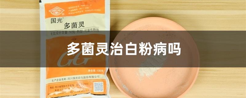 多菌灵治白粉病吗 多菌灵治白粉病吗