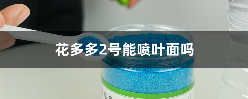 花多多2号能喷叶面吗 花多多2号能喷叶面吗