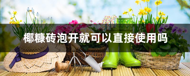 椰糠砖泡开就可以直接使用吗 椰糠砖泡开就可以直接使用吗