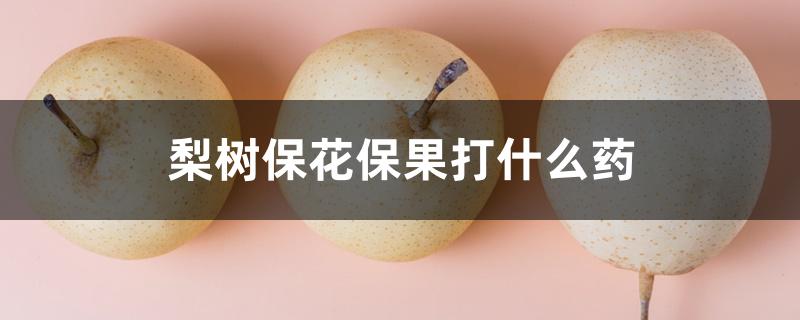 梨树保花保果打什么药 梨树保花保果打什么药