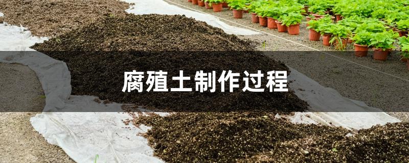腐殖土制作过程 腐殖土制作过程