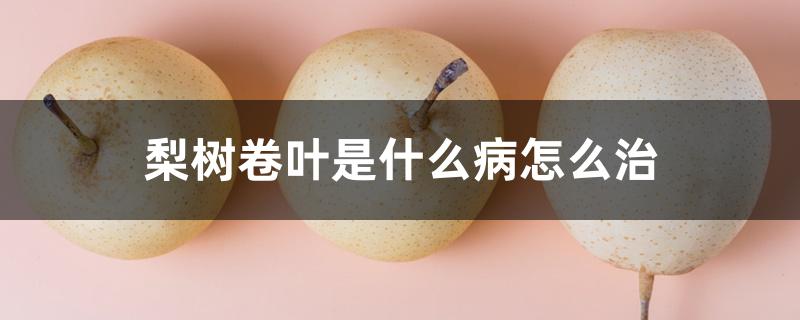 梨树卷叶是什么病怎么治 梨树卷叶是什么病怎么治