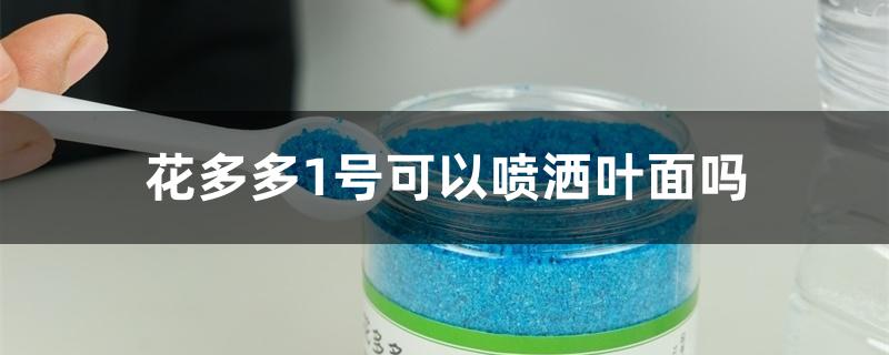 花多多1号可以喷洒叶面吗 花多多1号可以喷洒叶面吗