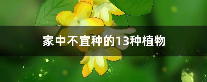 家中不宜种的13种植物 家中不宜种的13种植物