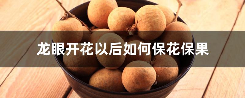 龙眼开花以后如何保花保果 龙眼开花以后如何保花保果