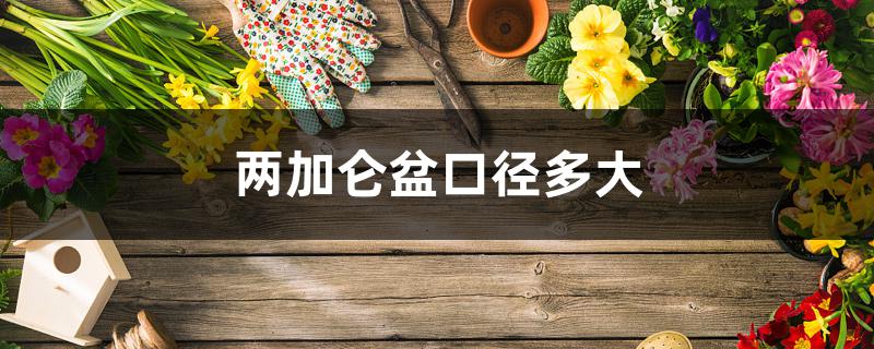 两加仑盆口径多大 两加仑盆口径多大