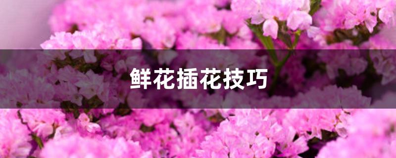 鲜花插花技巧 鲜花插花技巧