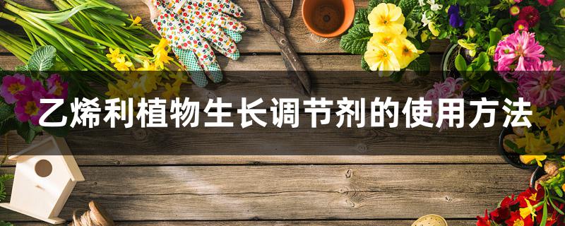 乙烯利植物生长调节剂的使用方法 乙烯利植物生长调节剂的使用方法