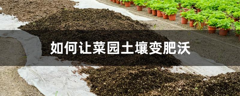 如何让菜园土壤变肥沃 如何让菜园土壤变肥沃