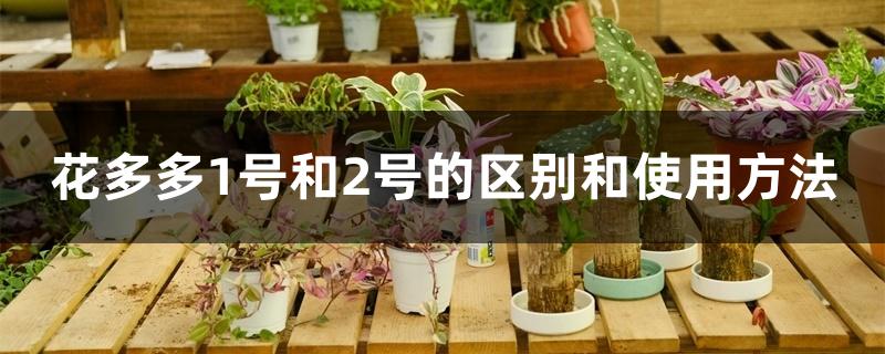 花多多1号和2号的区别和使用方法 花多多1号和2号的区别和使用方法
