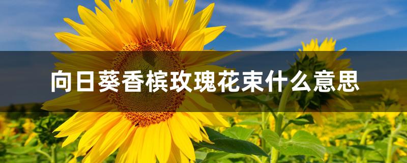 向日葵香槟玫瑰花束什么意思 向日葵香槟玫瑰花束什么意思