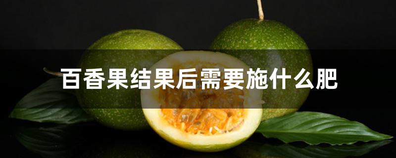 百香果结果后需要施什么肥