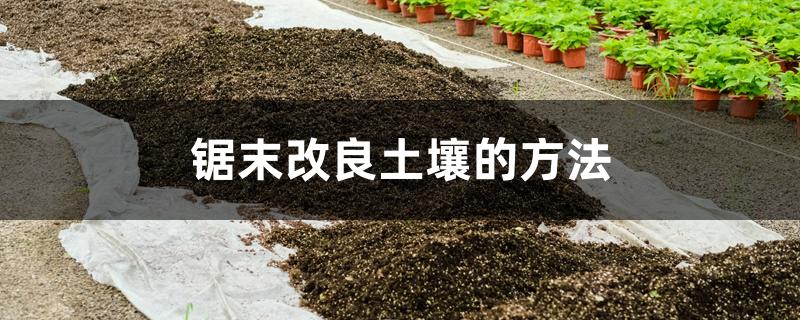 锯末改良土壤的方法 锯末改良土壤的方法