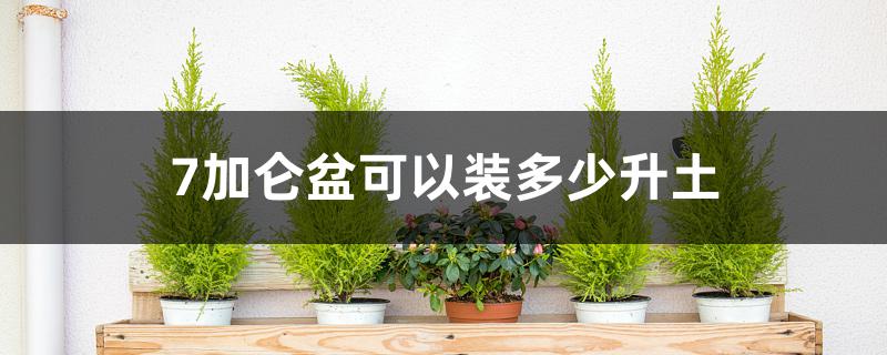 7加仑盆可以装多少升土 7加仑盆可以装多少升土