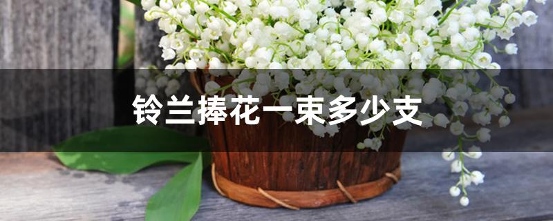 铃兰捧花一束多少支 铃兰捧花一束多少支