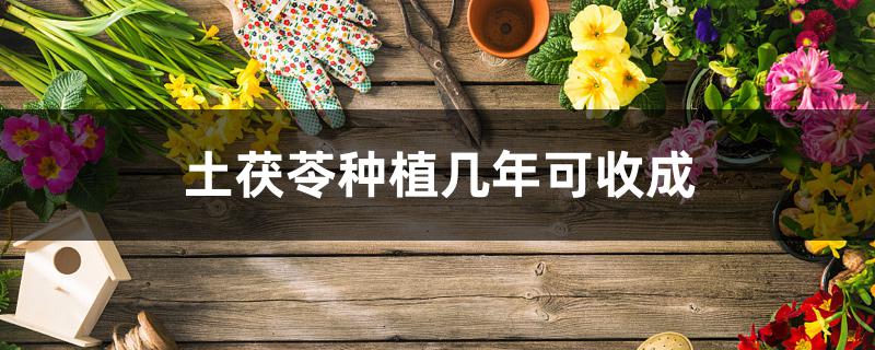 土茯苓种植几年可收成 土茯苓种植几年可收成