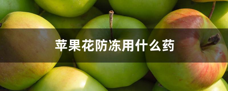 苹果花防冻用什么药 苹果花防冻用什么药
