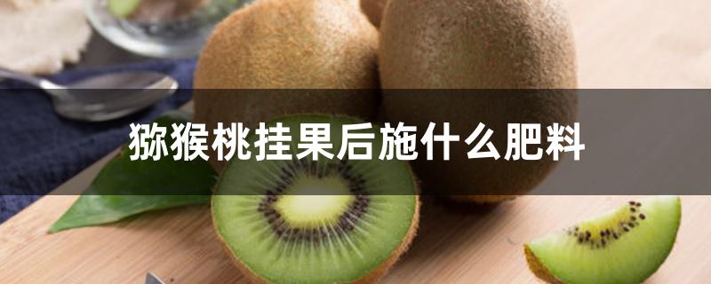 猕猴桃挂果后施什么肥料 猕猴桃挂果后施什么肥料
