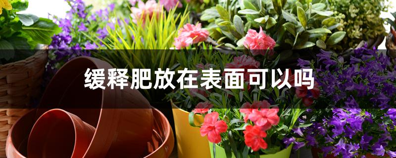 缓释肥放在表面可以吗 缓释肥放在表面可以吗