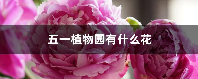 五一植物园有什么花 五一植物园有什么花