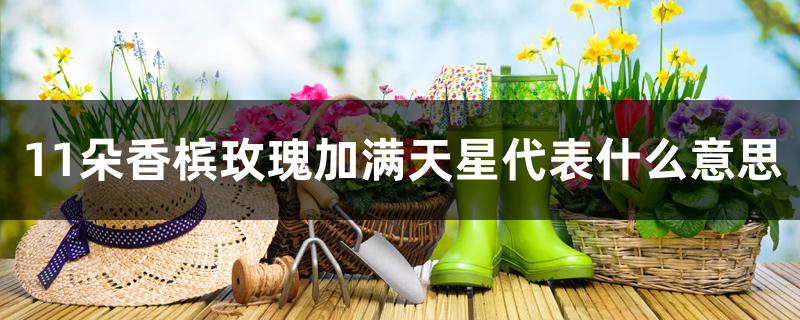 11朵香槟玫瑰加满天星代表什么意思 11朵香槟玫瑰加满天星代表什么意思
