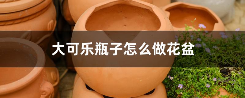 大可乐瓶子怎么做花盆 大可乐瓶子怎么做花盆