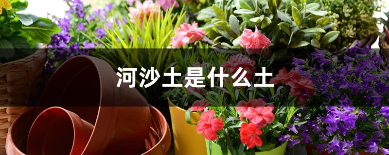 河沙土是什么土 河沙土是什么土