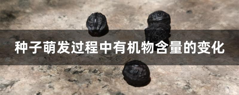 种子萌发过程中有机物含量的变化 种子萌发过程中有机物含量的变化