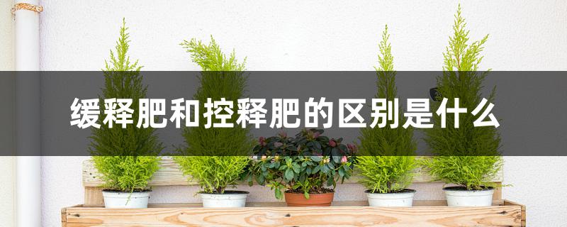缓释肥和控释肥的区别是什么 缓释肥和控释肥的区别是什么