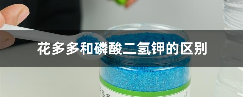 花多多和磷酸二氢钾的区别 花多多和磷酸二氢钾的区别