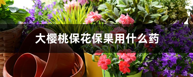 大樱桃保花保果用什么药