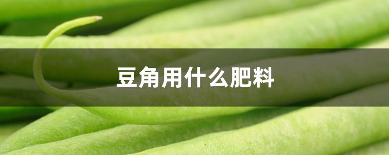 豆角用什么肥料 豆角用什么肥料