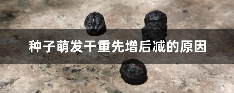 种子萌发干重先增后减的原因 种子萌发干重先增后减的原因
