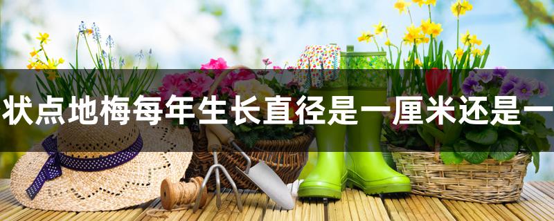 垫状点地梅每年生长直径是一厘米还是一米