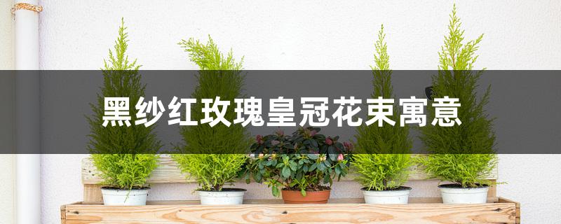 黑纱红玫瑰皇冠花束寓意 黑纱红玫瑰皇冠花束寓意